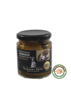 Amanita Ponderosa “Gurumelos “al ajillo