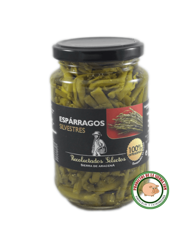 Cardillos silvestres "Tagarninas"