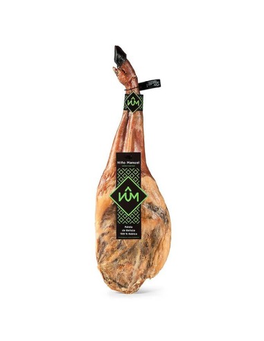 Pieza de paleta 100% ibérica de bellota